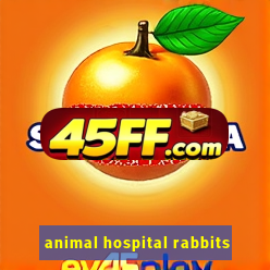 animal hospital rabbits